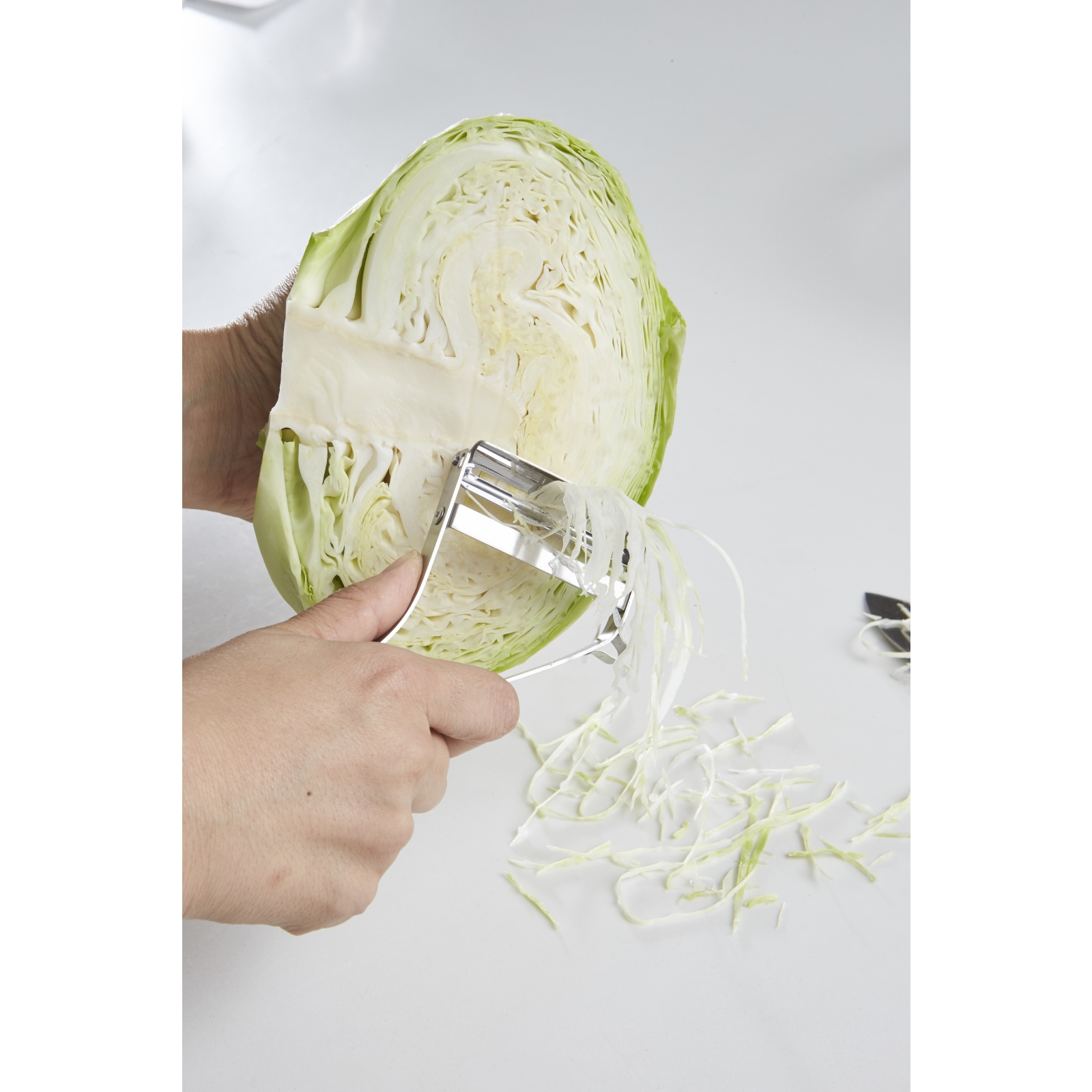 JK-01_cabbage.jpg